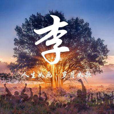 斗法修仙路游戏下载