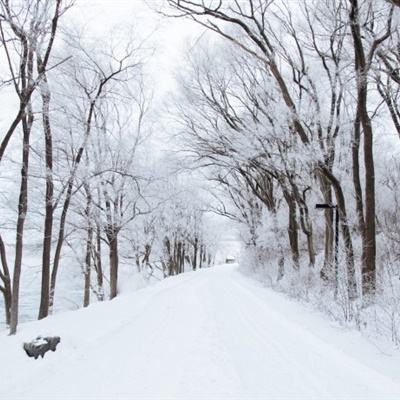 滑雪大冒险2百度版下载